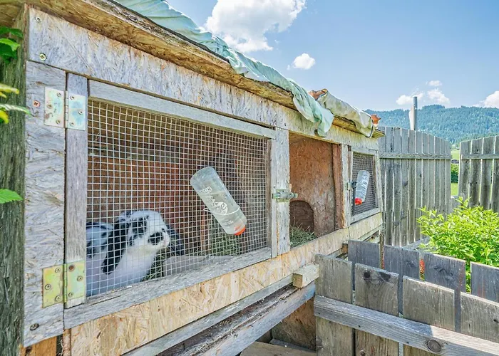 Apartamento Haus Sarah Hopfgarten im Brixental